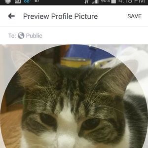 Meet your Posher, Donna